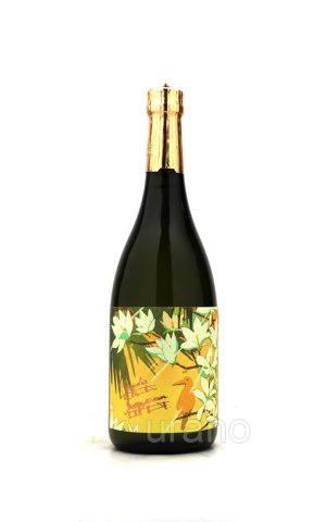 画像1: [芋焼酎]　国分酒造　sunny cream　サニークリーム　2024　720m