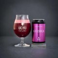 うちゅうブルーイング　GEISHA　350ml　(冷蔵)　