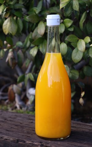 画像1: 木野本農園　みかん100%果汁　温州みかん　720ml