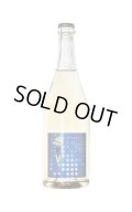 葡蔵人　ナイアガラシードルスパークリング　750ml