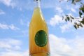 自然林檎酒　酵母無添加　ドメーヌ パーラー　ナチュール シードル　/仙禽　375ml