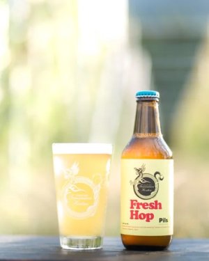 画像1: 志賀高原ビール　Fresh Hop Pils　330ｍl　(冷蔵)