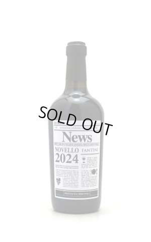 画像1: [船便]　1月上旬入荷予定　[赤ワイン /ミディアム]　ファンティーニ　ノヴェッロ　vintage 2025   750ml　/イタリア