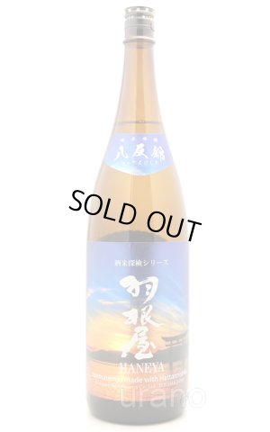 画像1: 羽根屋　純米吟醸 八反錦　生酒　1.8L　(冷蔵)