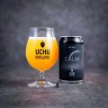 うちゅうブルーイング　CALM　350ml　(冷蔵)　