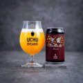 うちゅうブルーイング　宇宙Deluxe Mosaic　350ml　(冷蔵)　