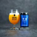 うちゅうブルーイング　宇宙QUEST Simcoe　350ml　(冷蔵)　