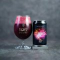 うちゅうブルーイング　LEPTON　350ml　(冷蔵)　