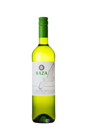 画像1: [白ワイン /辛口]　	ヴィーニョ ヴェルデ ハーザ ブランコ　750ml　/ポルトガル　ina PA039