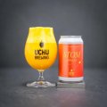 うちゅうブルーイング　ATOM MANGO　350ml　(冷蔵)　