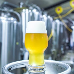 画像2: Nomcraft Brewing　ノムクラフト　Revelation/ リベレーション　350ml　(冷蔵)
