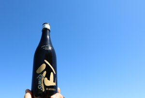 画像1: 陸奥八仙　250周年記念ボトル　/八戸酒造　720ml