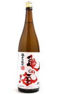 亀の海　超辛口純米　1.8L