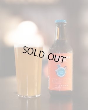 画像1: 志賀高原ビール　SHIGA KOGEN IPA 2.02 Center of the Universe　 330ｍl　(冷蔵)