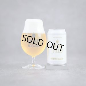 画像1: うちゅうブルーイング　宇宙PILS  (WEST COAST PILSNER) 　350ml　(冷蔵)　