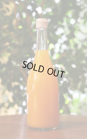 画像1: 木野本農園　搾りたて　みかん100%果汁　温州みかん　720ml