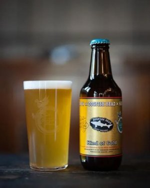 画像1: 志賀高原ビール　DOGFISH HEAD x OXBOW x SHIGA KOGEN / Kind of Gold　330ｍl　(冷蔵)