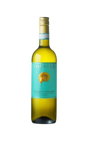 画像1: [白ワイン /辛口]　フォッシレ ヴェルディッキオ デイ カステッリ ディ イエージ クラッシコ　750ml　/イタリア　ina IA202