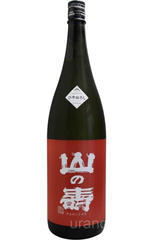 画像1: 山の壽　純米酒　辛口　ひやおろし　1.8L