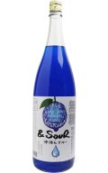 ＆SOUR（アンドサワー）沖縄んブルー　1.8L