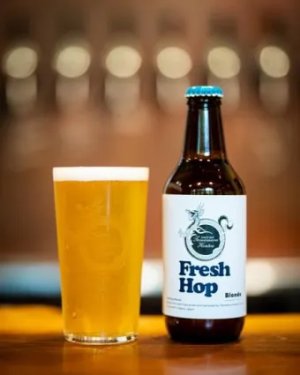 画像1: 志賀高原　Fresh Hop Blonde　330ｍl　(冷蔵)