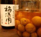 蔵元紹介3: [麦焼酎]　天盃　梅酒用　35度　1.8L