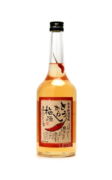 画像1: 松浦 とうがらし梅酒 720ml (1)