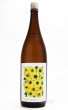 画像2: 日輪田　生酛純米酒　ひまわり　超速瓶燗１回火入　1.8L （冷蔵） (2)