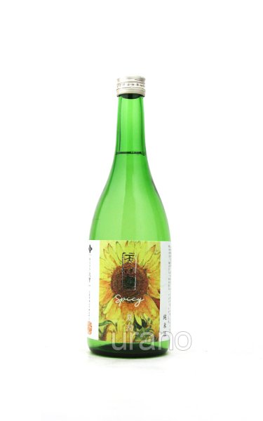 画像1: 天寶一　夏潤　SPICY純米　720ml (1)