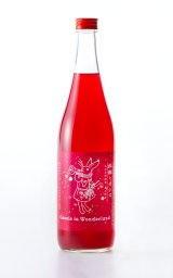 フルフルーティー ダブルマンゴー梅酒 720ml -正規取扱店- 旨酒