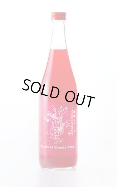 画像1: 不思議の国のカシス　赤揃え　 〜柘榴とカシス〜　720ml (1)