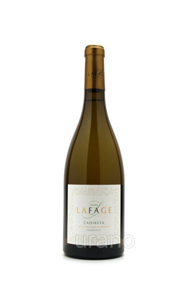 画像1: [白ワイン /辛口]　	カディレッタ　750ml　/フランス　/az (1)