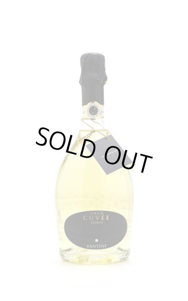 画像1: [スパークリング白・辛口]　ファンティーニ　 スパークリング　/イタリア　750ml (1)