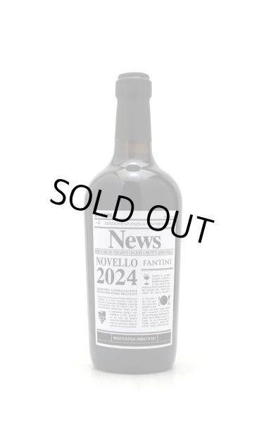 画像1: [船便]　1月上旬入荷予定　[赤ワイン /ミディアム]　ファンティーニ　ノヴェッロ　vintage 2025   750ml　/イタリア (1)