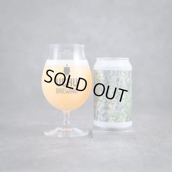 画像1: うちゅうブルーイング　PHYLLOTAXIS 　350ml　(冷蔵)　 (1)