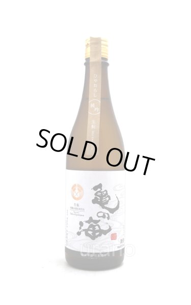 画像1: 亀の海　純米吟醸ひやおろし　生もと造り　Terroir Saku-Kiyakawa　720ml (1)