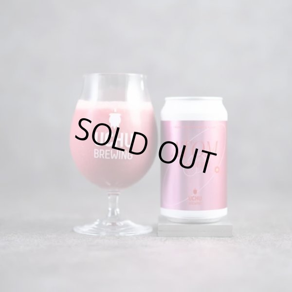 画像1: うちゅうブルーイング　ATOM RASPBERRY　350ml　(冷蔵)　 (1)