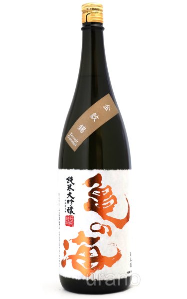 画像1: 亀の海　純米大吟醸　金紋錦　Terroir Gorobei　テロワール ゴロベイ　1.8L (1)