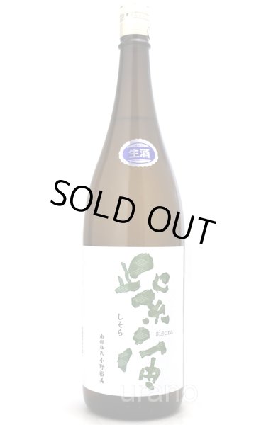 画像1: 紫宙 しそら　杉玉ラベル　初しぼり　純米吟醸　無濾過生　1.8L　(冷蔵) (1)