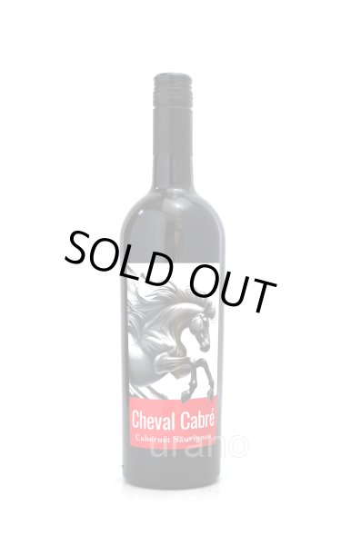 画像1: [赤ワイン /ミディアム]　シュヴァル　キャブレ　カベルネソーヴィニヨン　750ml　/フランス　iida v826 (1)