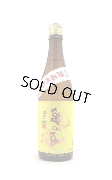 画像1: 亀の海　純米吟醸　無ろ過生　黄ラベル　720ml　(冷蔵) (1)