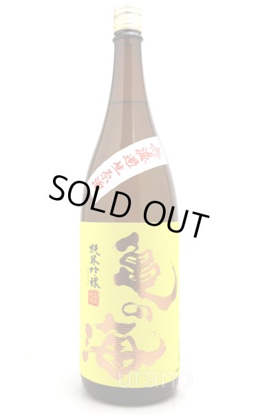 画像1: 亀の海　純米吟醸　無ろ過生　黄ラベル　1.8L　(冷蔵) (1)