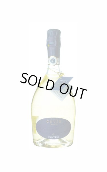 画像1:  [スパークリング・白]　ファンティーニ スプマンテ グラン キュヴェ ビアンコ　750ml　/イタリア　ina I655 (1)