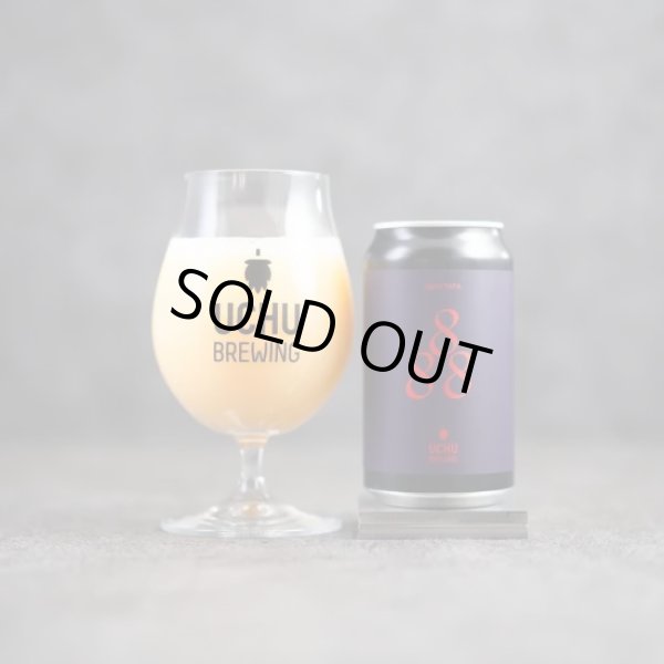 画像1: うちゅうブルーイング　888　350ml　(冷蔵)　 (1)