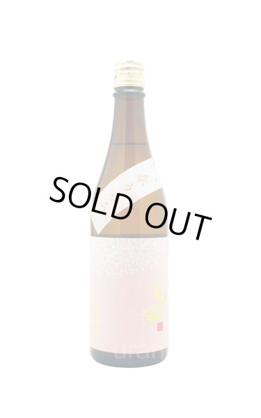 画像1: 亀の海　春うらら　純米吟醸　生　720ml　(冷蔵) (1)