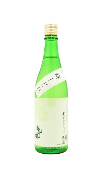 画像1: 亀の海　蝉しぐれ　純米吟醸　生　720ml　(冷蔵) (1)