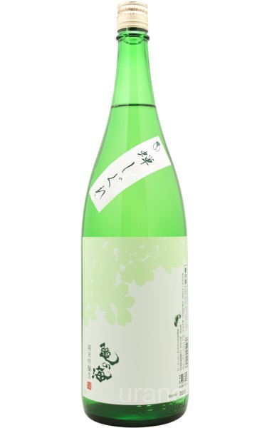 画像1: 亀の海　蝉しぐれ　純米吟醸　生　1.8L　(冷蔵) (1)