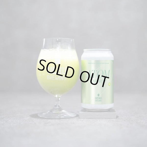 画像1: うちゅうブルーイング　ATOM KIWIFRUIT　350ml　(冷蔵)　 (1)
