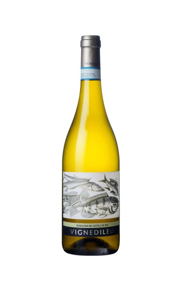 画像1: [白ワイン /辛口]　ヴェルディッキオ デイ カステッリ ディ イエージ クラッシコ　750ml　/フランス　ina-I796 (1)