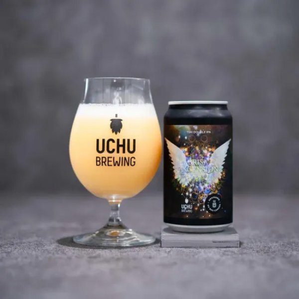 画像1: うちゅうブルーイング　BRISA ASCENSION　350ml　(冷蔵)　 (1)